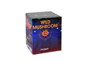 Wild mushroom 25 rán